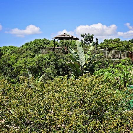 Kosi Bay Lodge Manguzi エクステリア 写真